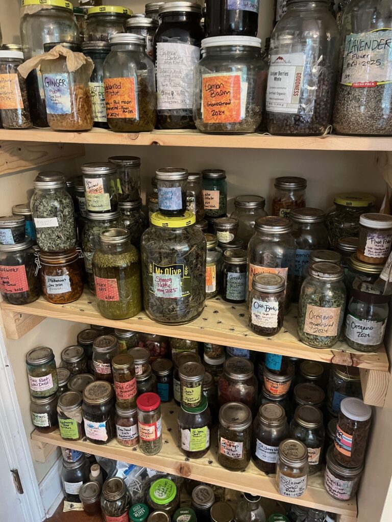 A few shelves of the apothecary here at the homestead!